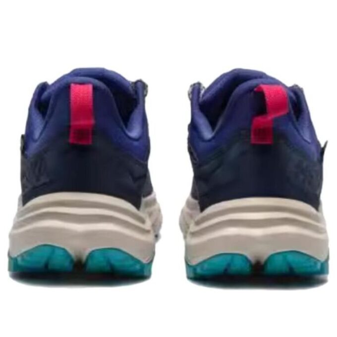 Anacapa 2 'Varsity Navy Mountain Iris’