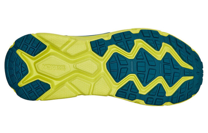 Challenger ATR 6 'Blue Coral Evening Primrose’