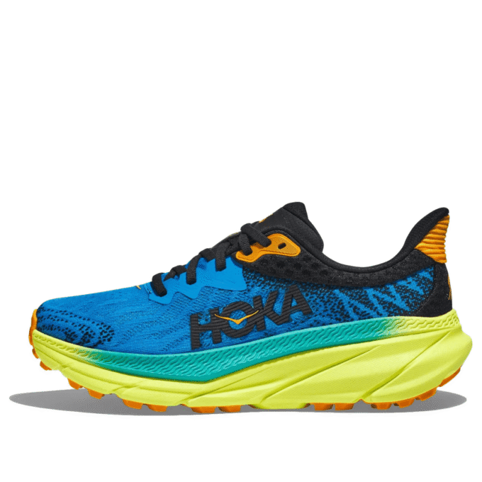 Challenger ATR 7 'Diva Blue Evening Primrose’