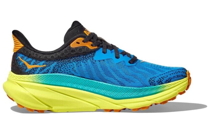 Challenger ATR 7 'Diva Blue Evening Primrose’