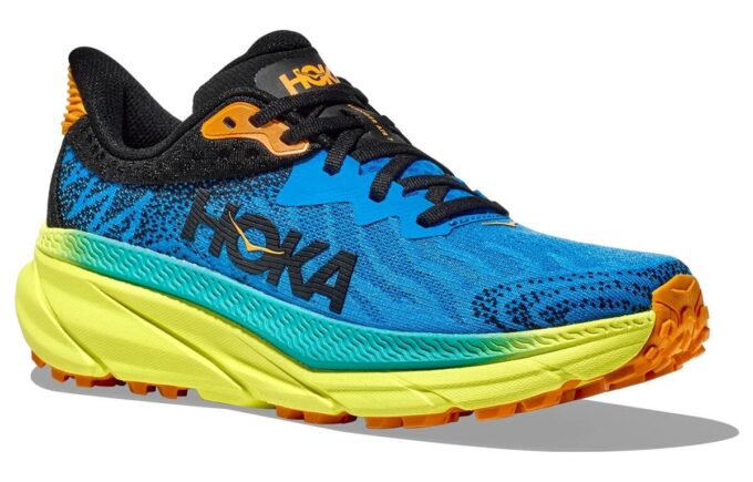 Challenger ATR 7 'Diva Blue Evening Primrose’