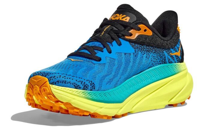 Challenger ATR 7 'Diva Blue Evening Primrose’