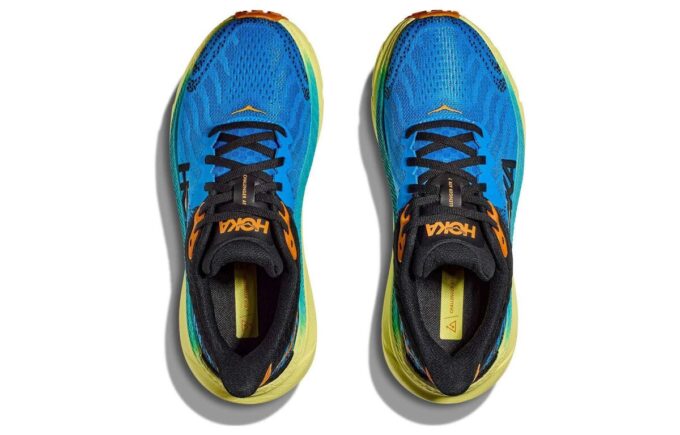 Challenger ATR 7 'Diva Blue Evening Primrose’