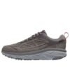 Challenger Low Gore-Tex 'Charcoal Grey Fiesta’