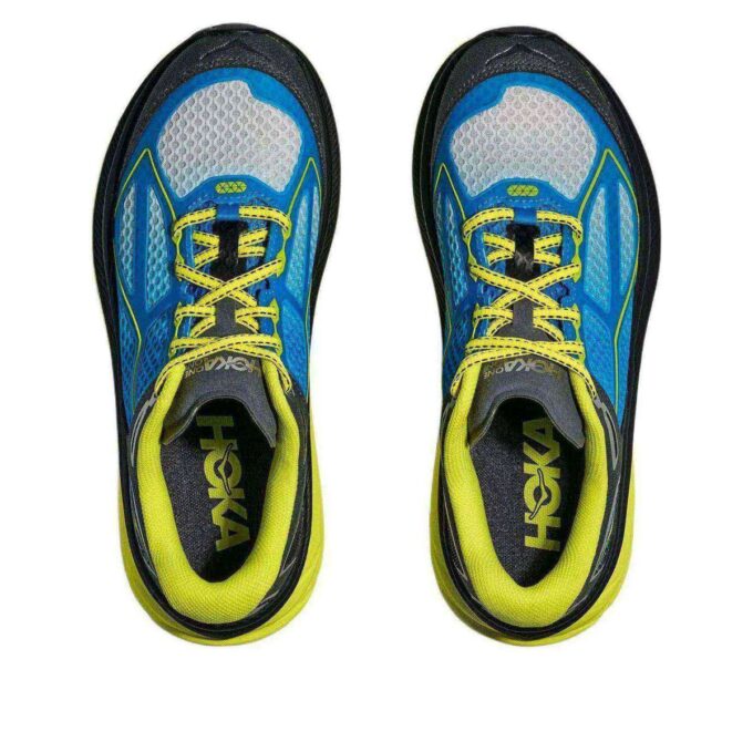 Clifton 9 'Blue Citrus’