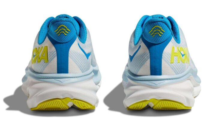 Clifton 9 'Ice Water Evening Primrose’