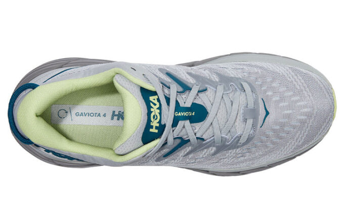 Gaviota 4 'Motyl mglisty portowy’