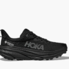 HOKA HOKA ONE ONE Anacapa 2 Low GTX