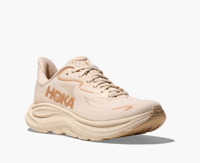 HOKA ONE ONE Anacapa 2 Low GTX