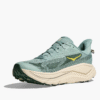 HOKA ONE ONE Bondi 9
