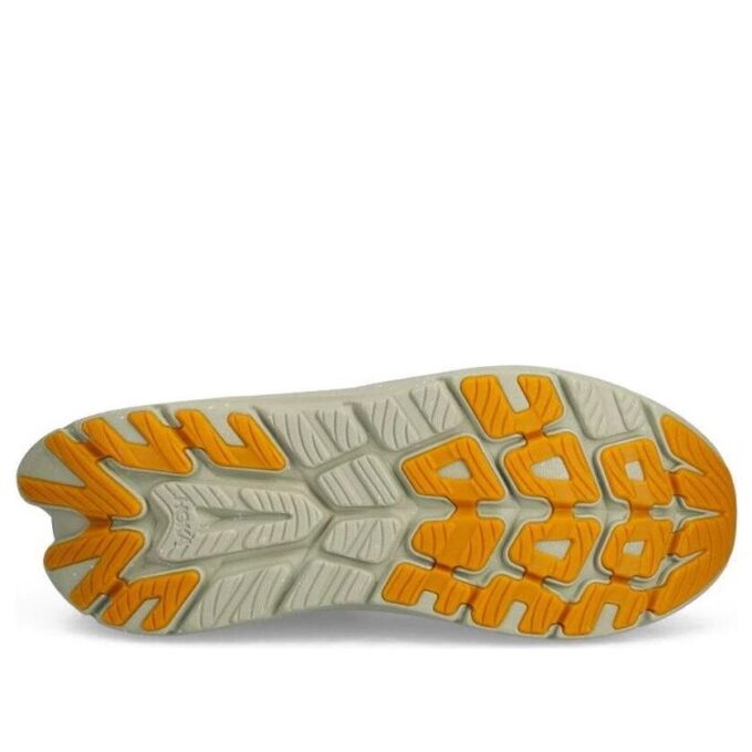 Kawana 2 'Pokrywa lasu łupkowego’