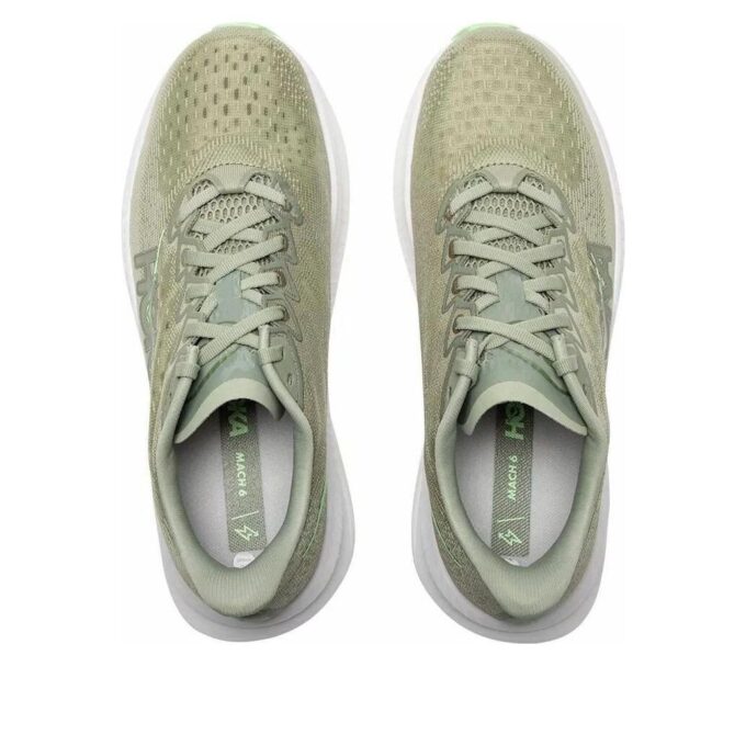 Mach 6 'Porost leśny’