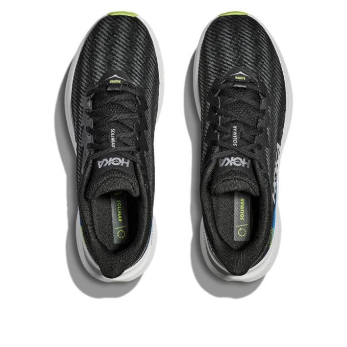 Solimar 'Czarna sałata’