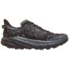 Speedgoat 6 GTX „Black Outer Orbit”