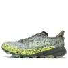 Speedgoat 6 GTX „Slate Aloe Vera”