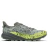 Speedgoat 6 GTX „Slate Aloe Vera”