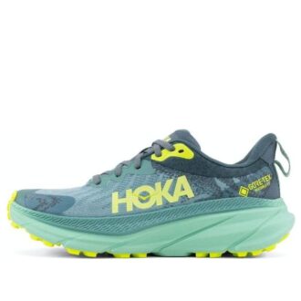 (WMNS) Challenger ATR 7 GTX 'Trellis Balsam Green’