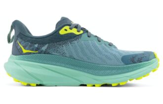 (WMNS) Challenger ATR 7 GTX 'Trellis Balsam Green’