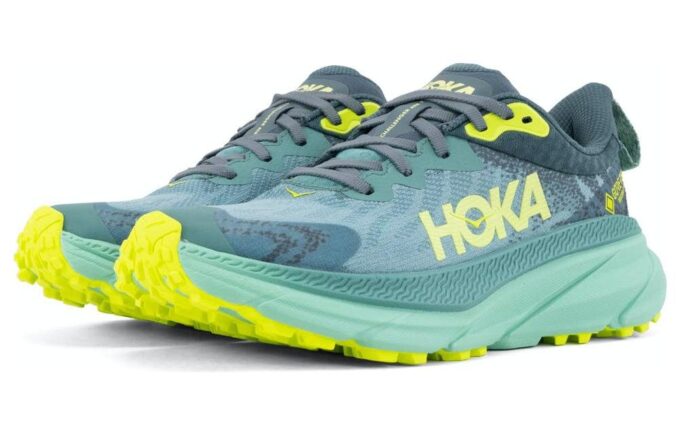 (WMNS) Challenger ATR 7 GTX 'Trellis Balsam Green’