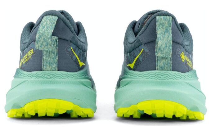 (WMNS) Challenger ATR 7 GTX 'Trellis Balsam Green’