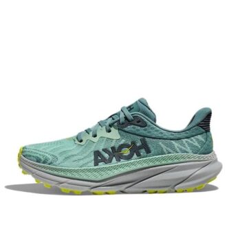 (WMNS) Challenger ATR 7 'Mist Green Trellis’