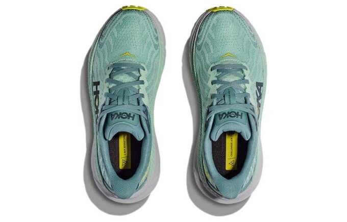 (WMNS) Challenger ATR 7 'Mist Green Trellis’